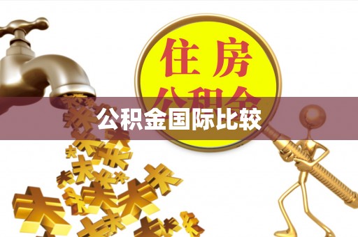 陵川公积金国际比较