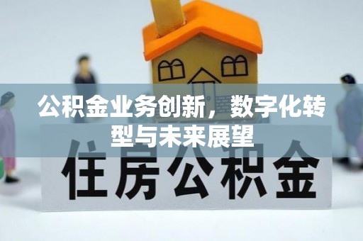 陵川公积金业务创新，数字化转型与未来展望