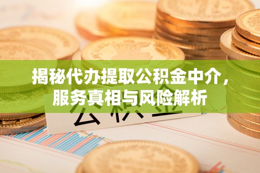 陵川揭秘代办提取公积金中介，服务真相与风险解析