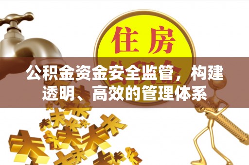 陵川公积金资金安全监管，构建透明、高效的管理体系