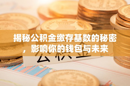 陵川揭秘公积金缴存基数的秘密，影响你的钱包与未来